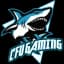 CFU Gaming