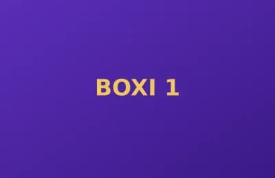 BOXI photo 1