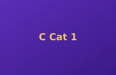 C Cat photo 1