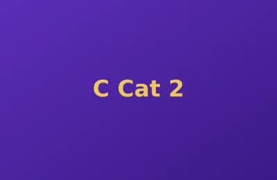 C Cat photo 2