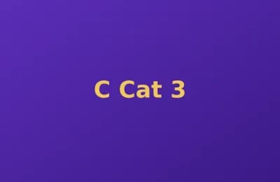 C Cat photo 3