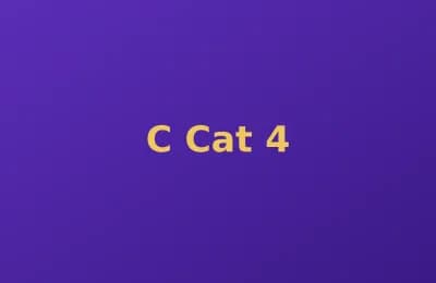 C Cat photo 4