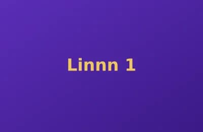 Linnn photo 1