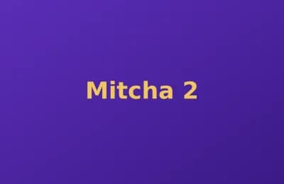 Mitcha photo 2