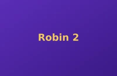 Robin photo 2