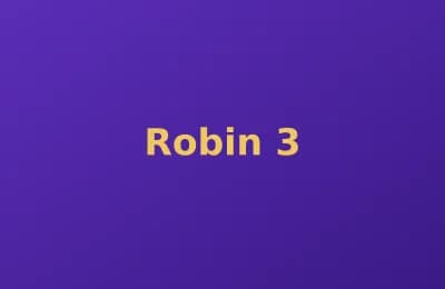 Robin photo 3