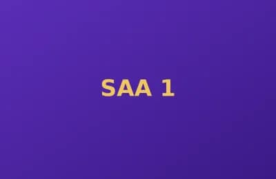 SAA photo 1