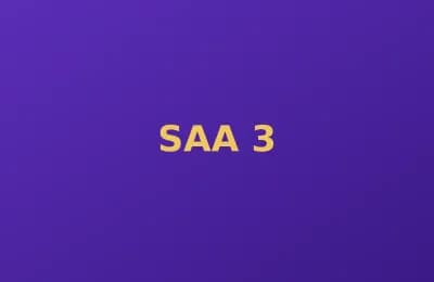 SAA photo 3