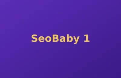 SeoBaby photo 1