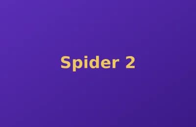 Spider photo 2