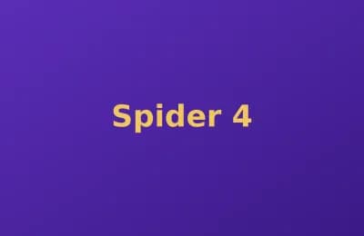 Spider photo 4