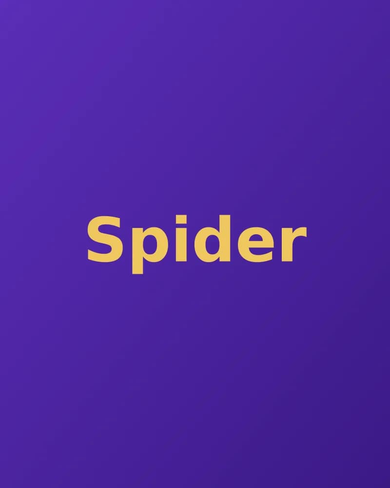 Spider