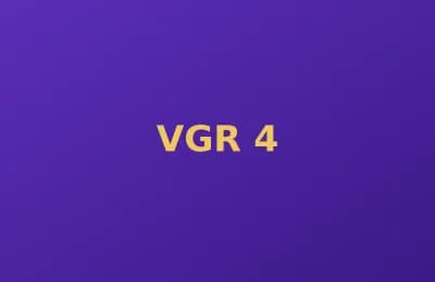 Vigor Apex photo 4