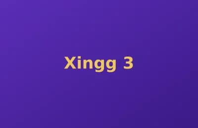 Xingg photo 3