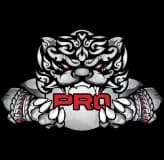 PRO Esports