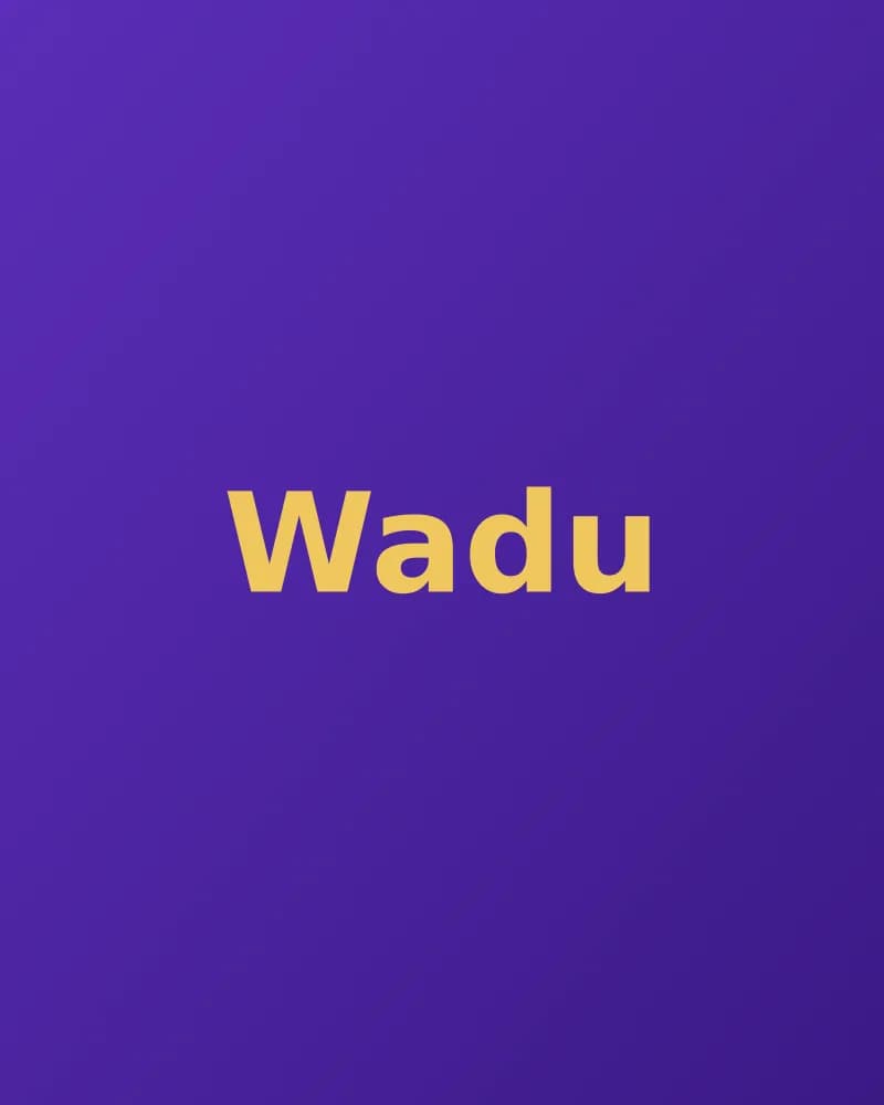 Wadu